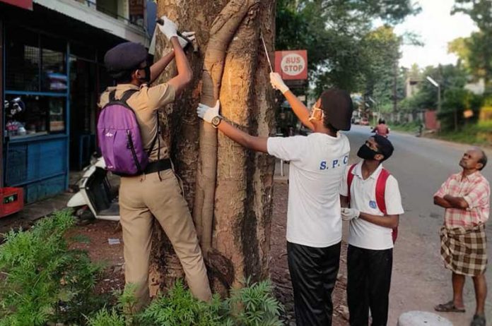Student police cadets to heal trees on Ozone Day